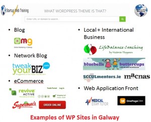 What WordPress Theme is That