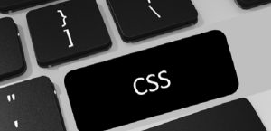CSS stands for Cascading Style Sheets; CSS describes how HTML elements are to be displayed on screen, paper, or in other media; CSS saves a lot of work.