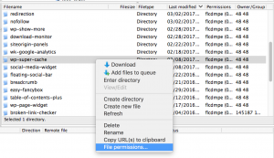 FileZilla File Permissions