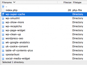 FileZilla File Listing