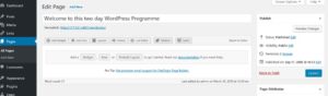 SiteOrigin PageBuilder Adds Rows and Widgets