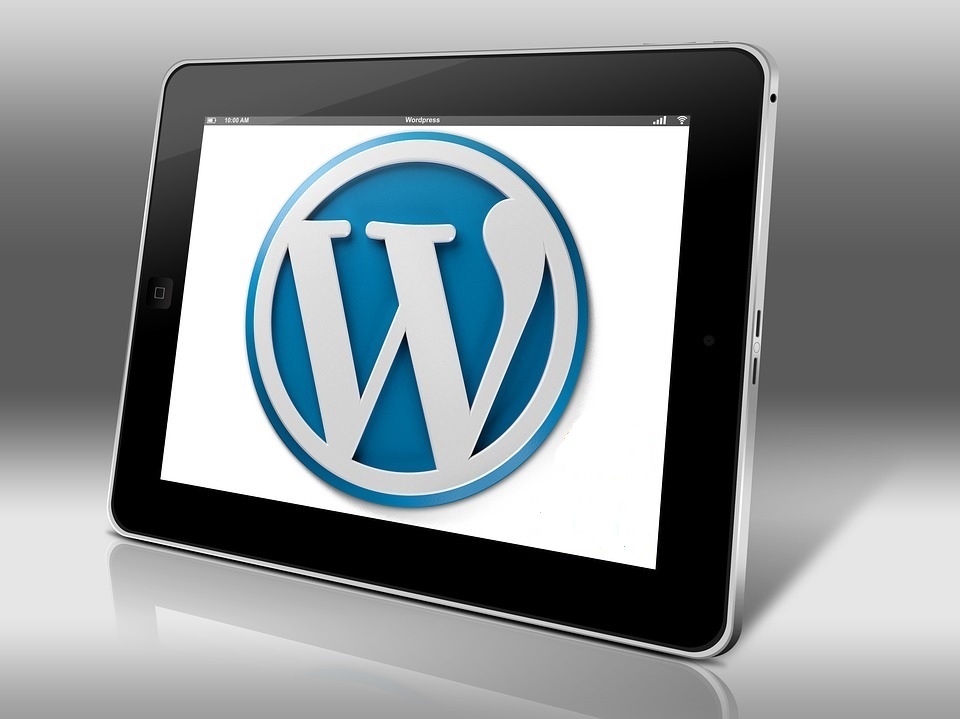 WordPress-Training with Donncha Hughes