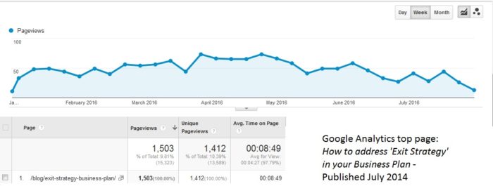 Graphic Information from Google Analytics