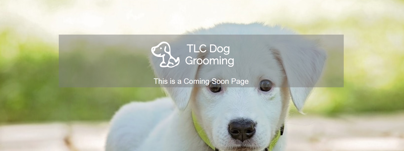 TLC Dog Grooming Coming Soon